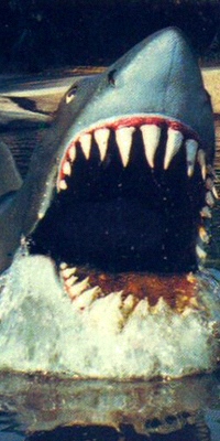 Universal Studios Florida JAWS Ride